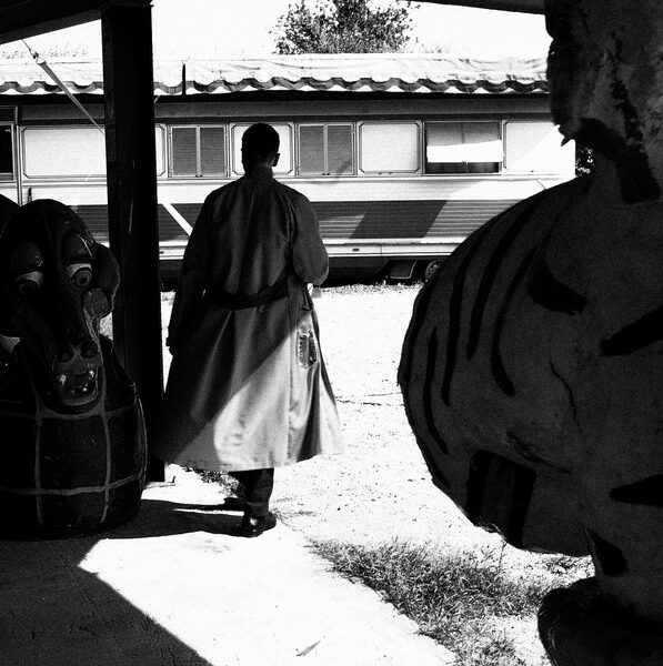 Davide Ceccarelli 2938 2 597x600